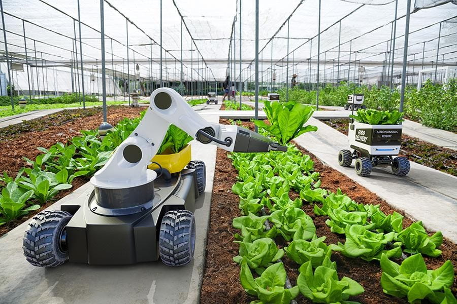 IT in Farming